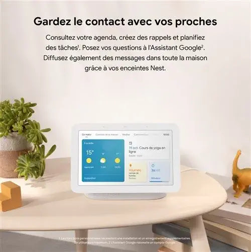 Enceinte Google Nest Hub 2ème Génération Galet - Connectivité Intelligente.